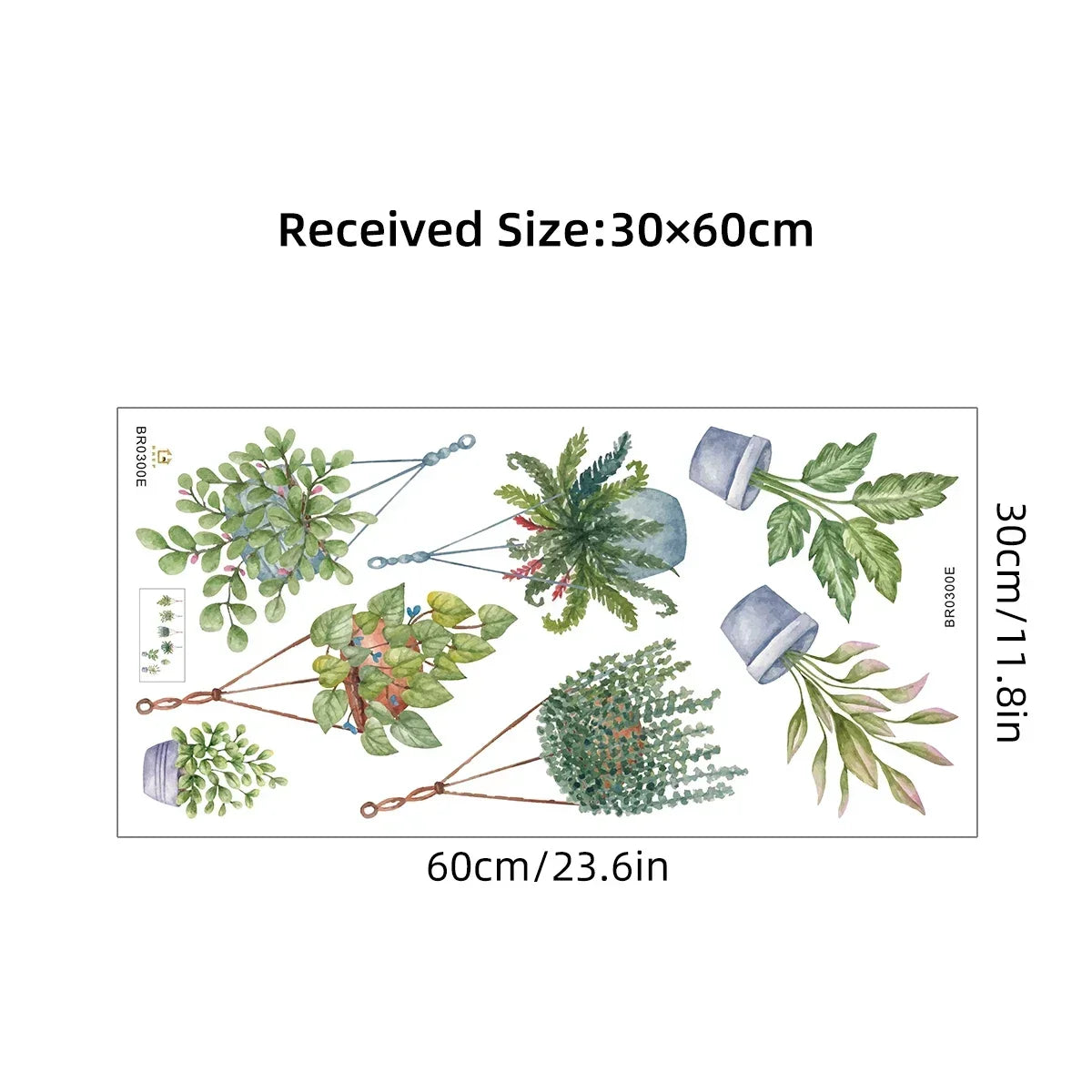 S0c46201f7ba64ce58fc8267a73b6d623o